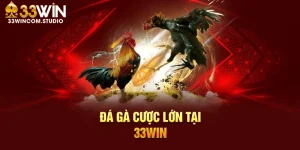 Đá gà trực tiếp tại 33Win